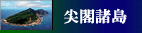 日中関係（尖閣諸島をめぐる情勢
